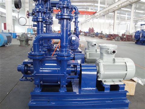 2BE3液环真空泵及压缩机 沃尔姆国产品牌的卓越选择