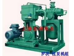 供应罗茨-往复真空泵机组系列——高效可靠的真空解决方案