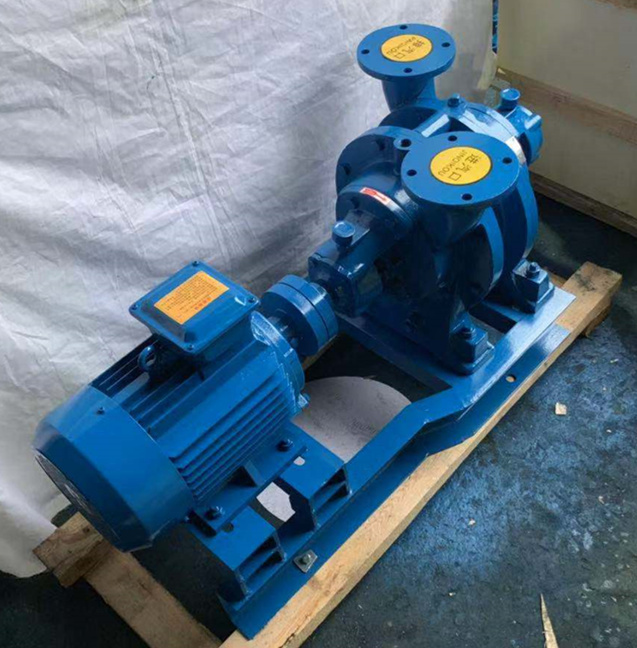 水环式真空泵排气口冒烟原因分析与解决方案